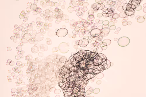 Bubbles By Wx