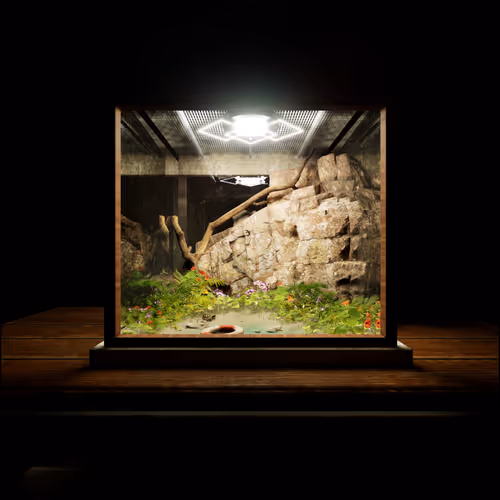 Digital Terrariums