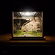 Digital Terrariums