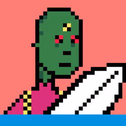 Surf Punk #17