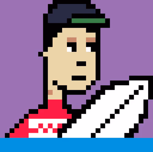 Surf Punks Nft