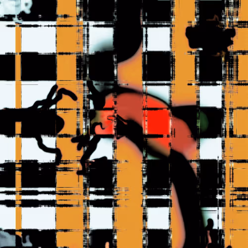 Digital Birth