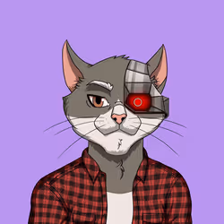 110680464446552277092