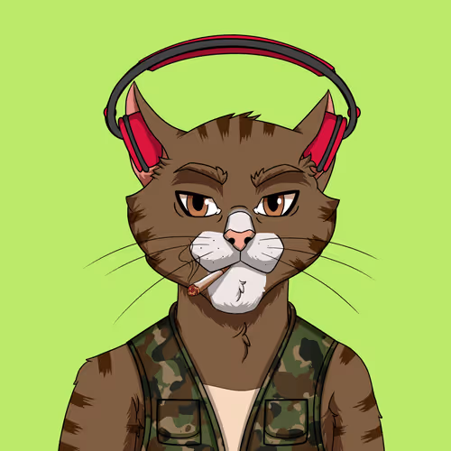 OG CAT #216