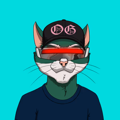 OG CAT #127