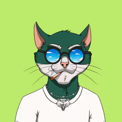 OG CAT #62