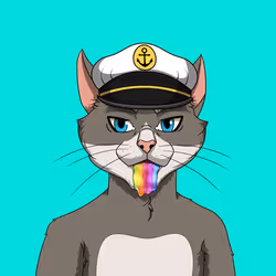 OG CAT #43