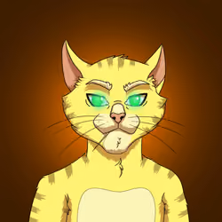 OG CAT #134