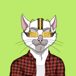 110680464442258358440