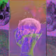 10030