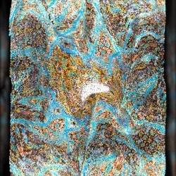 239