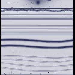 Deep Blue Sea #417