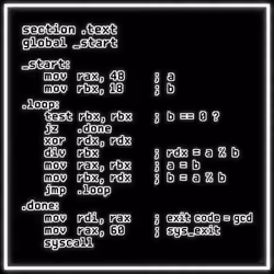 Euclid's Algorithm — Assembly