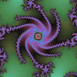 561