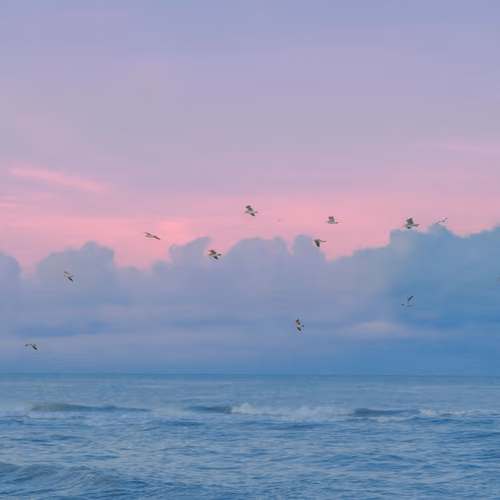 Morning Flight #1