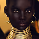 The Shudu Archive