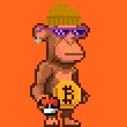 DegenCoinApes #163