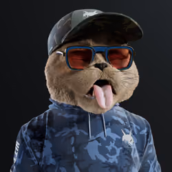 Kitty #4404