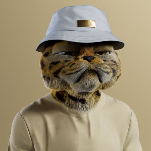 Kitty #4304