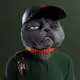 4038