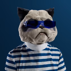 Kitty #6446