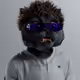 631