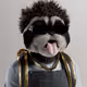 6341