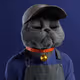 7460