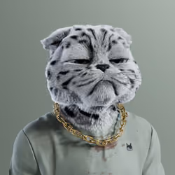 Kitty #1647