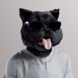 Kitty #1679