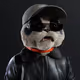 4428