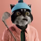 5893