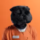 7667