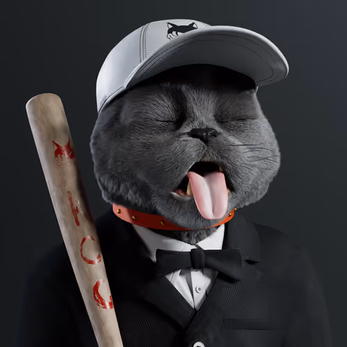 Kitty #7843