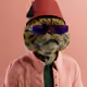 5091