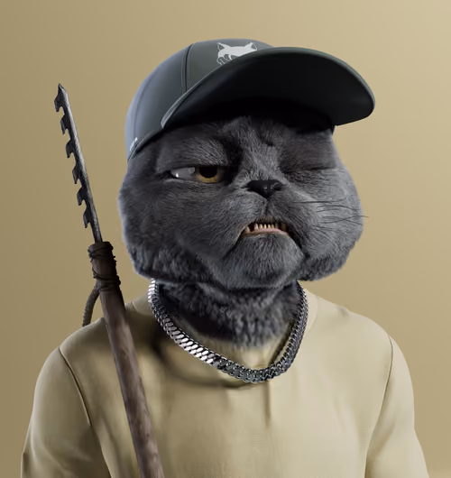 Kitty #7973