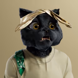 Kitty #5544