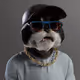 7298