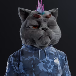 Kitty #6950