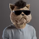 6271