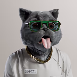Kitty #2628