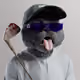 4117