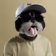 6336