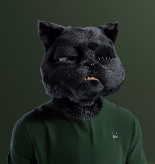 Kitty #7956