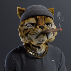 Kitty #5264