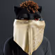 3504