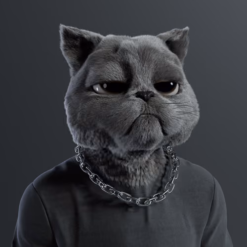 Kitty #7970