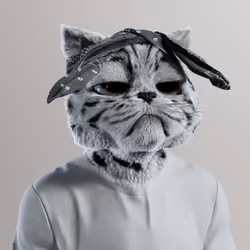 Kitty #3899