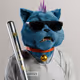 7964