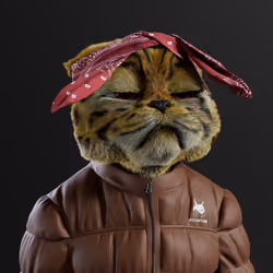 Kitty #373
